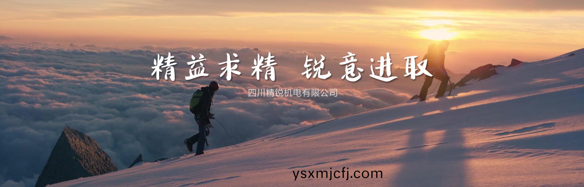 精益求精 銳意進取